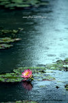 DSCF3009