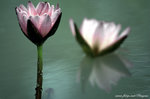 DSCF3044