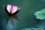 DSCF3045