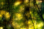 DSCF5143a