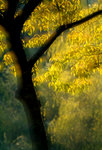 DSCF5150