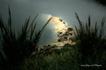 DSCF2448a