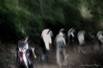 DSCF2567