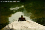 nEO_IMG_LEE_1186