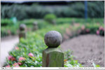 nEO_IMG_000302-LEE_2267