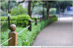 nEO_IMG_000303-LEE_2268