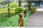 nEO_IMG_000308-LEE_2273