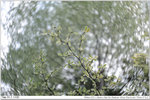 nEO_IMG_000311-LEE_2276