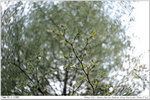 nEO_IMG_000313-LEE_2278