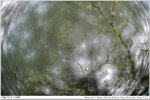nEO_IMG_000314-LEE_2279