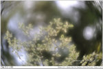 nEO_IMG_000315-LEE_2280