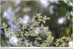 nEO_IMG_000316-LEE_2281