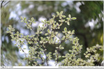 nEO_IMG_000317-LEE_2282