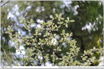 nEO_IMG_000318-LEE_2283