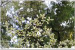 nEO_IMG_000319-LEE_2284