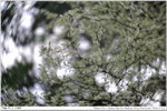 nEO_IMG_000320-LEE_2285