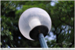 nEO_IMG_000321-LEE_2286