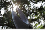 nEO_IMG_000329-LEE_2296