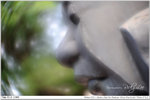 nEO_IMG_000335-LEE_2303