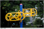 nEO_IMG_000351-LEE_2321
