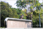 nEO_IMG_000360-LEE_2330