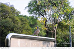 nEO_IMG_000361-LEE_2331