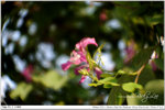 nEO_IMG_000369-LEE_2339