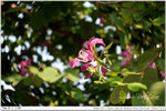 nEO_IMG_000370-LEE_2341