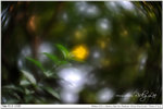 nEO_IMG_000374-LEE_2345