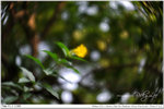 nEO_IMG_000375-LEE_2346
