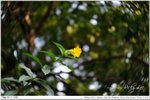 nEO_IMG_000376-LEE_2347