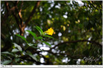 nEO_IMG_000377-LEE_2348