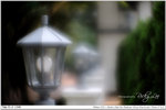 nEO_IMG_000383-LEE_2354