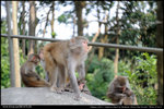 nEO_IMG_000526-LEE_2545