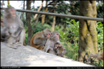 nEO_IMG_000527-LEE_2546