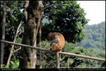 nEO_IMG_000529-LEE_2548