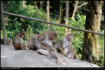 nEO_IMG_000530-LEE_2549