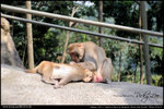 nEO_IMG_000533-LEE_2552