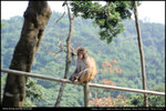 nEO_IMG_000534-LEE_2553