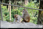 nEO_IMG_000535-LEE_2554