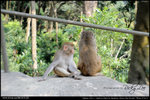 nEO_IMG_000536-LEE_2555
