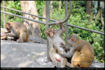 nEO_IMG_000537-LEE_2556