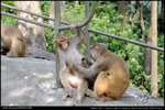 nEO_IMG_000538-LEE_2557