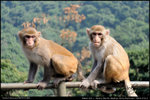 nEO_IMG_000539-LEE_2558