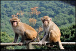 nEO_IMG_000540-LEE_2559