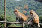 nEO_IMG_000541-LEE_2560