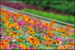 LEE_4685