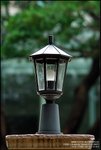 LEE_4775