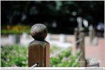 nEO_IMG_LEE_1623