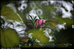 nEO_IMG_LEE_2751